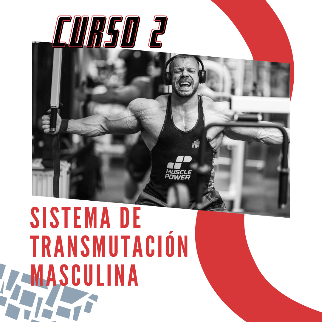 Pack de cursos "Salud y Fitness"